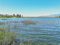 -野鸭湖国家湿地公园