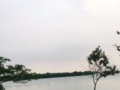 -漕湖湿地公园