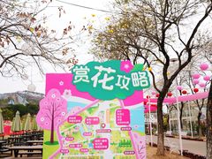 -盈香心动乐园