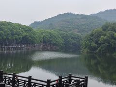 -白马涧龙池景区