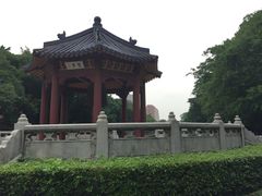 -中山大学学者灵芝(园南路店)