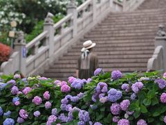-阅江楼风景区