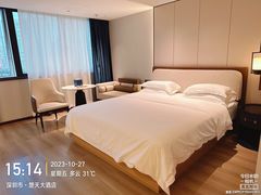 -深圳楚天大酒店(福田口岸深圳会展中心店)
