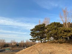 -青龙湖公园