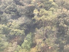 -紫金山索道-售票处