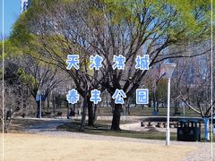 -泰丰公园