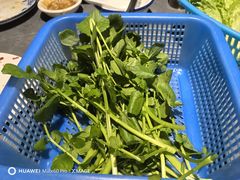 西洋菜-贵宾牛·潮汕牛肉火锅(珠池总店)
