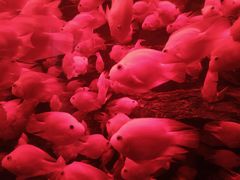 -多彩贵州城极地海洋世界