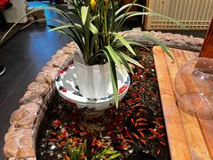 -龙源茶坊(白银路店)