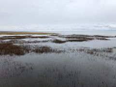 -青海湖仙女湾景区