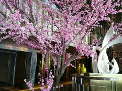 -金轩中餐厅 Jin Xuan(浦东丽思卡尔顿酒店)