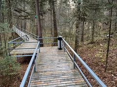 -五营红松林海景区