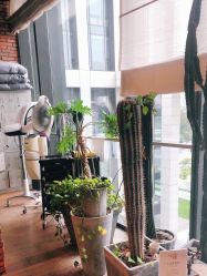 -THE BARN大屋理发馆