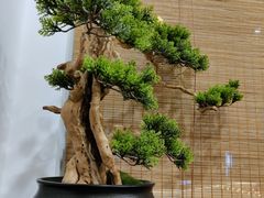 -静雅推拿(鹭洲里店)