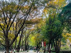 -山东大学(趵突泉校区)