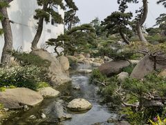 -罗红摄影艺术馆