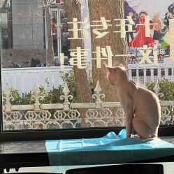 -京都墨客刺青