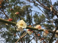 -橙天嘉禾影城(苏州印象城店)