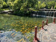 -丽江玉水寨