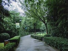 -西安汉城湖景区