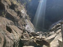 -广州白江湖森林公园