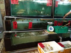 水产区-吉莲利苑海鲜酒家(珠海拱北28年老字号店)
