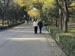 -森林公园(尖草坪区)