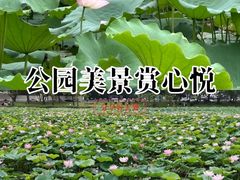 -惠州西湖丰渚园
