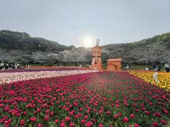 -苏州上方山国家森林公园
