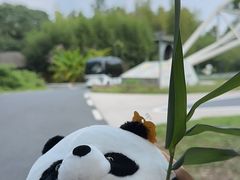 -安吉竹博园