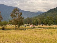 -塔川景区
