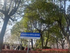 -高东镇樱花园