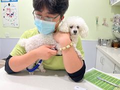 -艾吉宠物医院·疑难杂症转诊中心·猫友好(碧江路院)