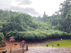 -西双版纳勐泐文化旅游区