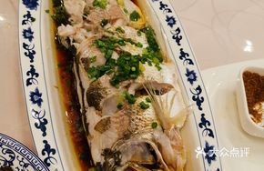Steamed Rockfish with Soy Sauce