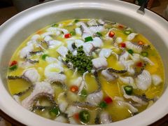 招牌青花椒-青花椒花椒鱼(新百店)