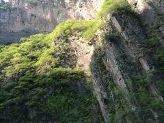 -红豆峡