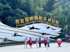 -西双版纳原始森林公园
