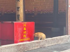 -龙华寺