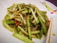 -欢乐海岸美食联盟