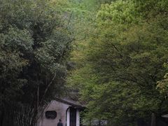 -兰亭风景区