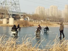 -丁香湖公园