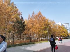 -东北农业大学