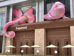 -帕帕拉兹宠物(亚洲旗舰店)