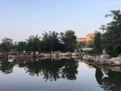 -绿岛公园(滨海新区)