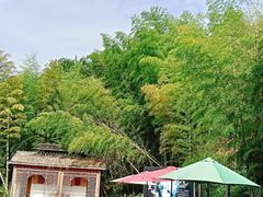 -宁波浙东大竹海景区
