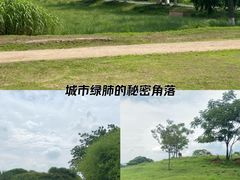 -良渚古城遗址公园
