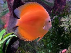 -上海海洋水族馆