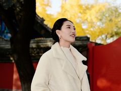 -北京国子监胡同