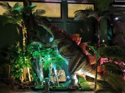 -恐龙探索乐园(磁器口店)